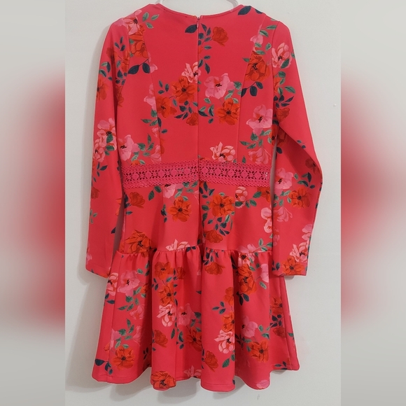 A8 Alexia Admor mini dress size 6 - Picture 6 of 6